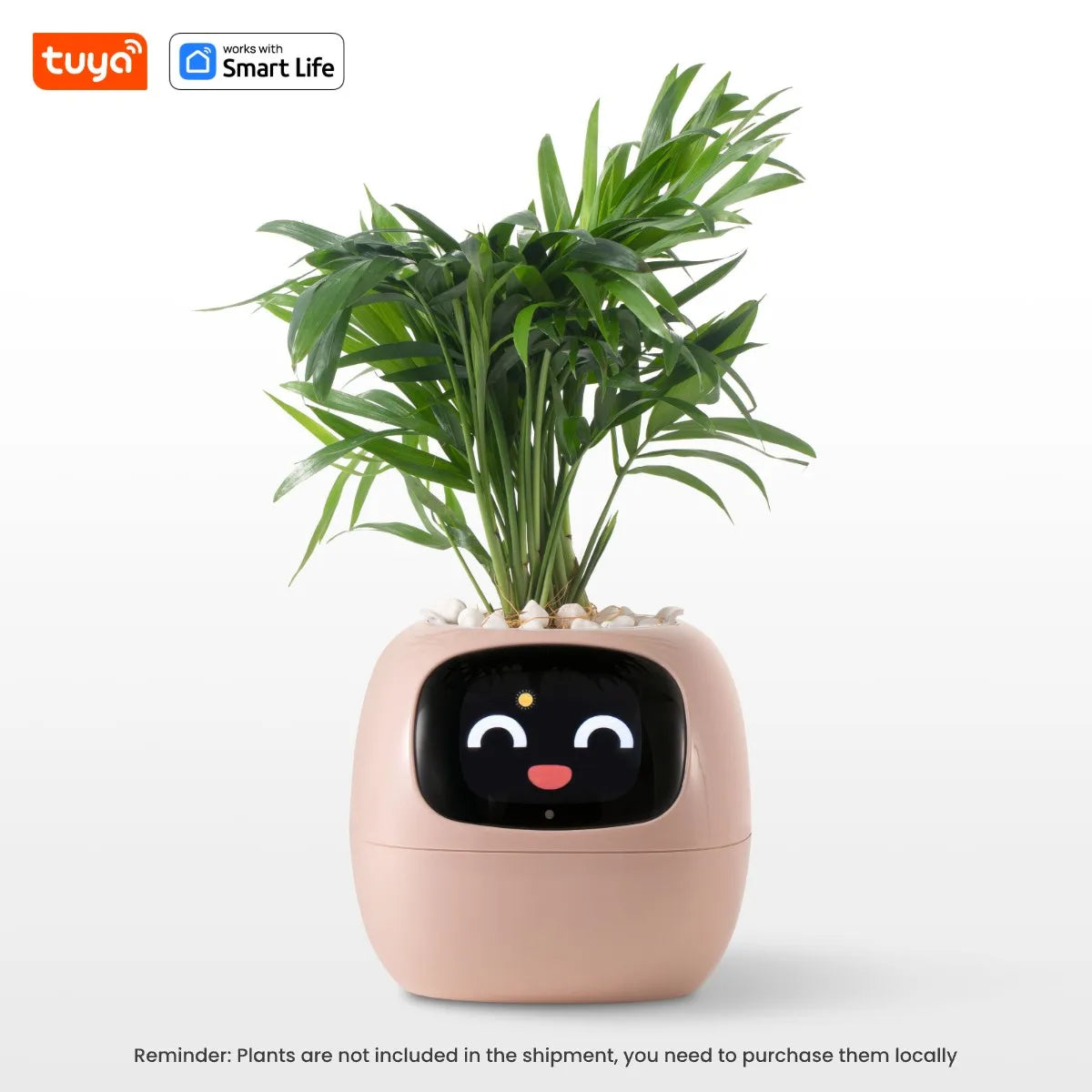Eco Smart Planter
