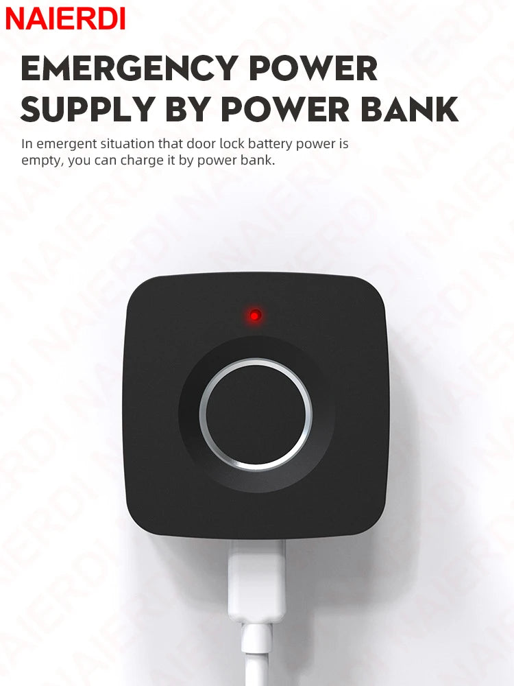 Eco Smart Biometric Cabinet Lock