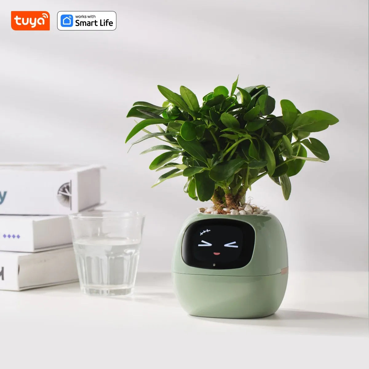 Eco Smart Planter
