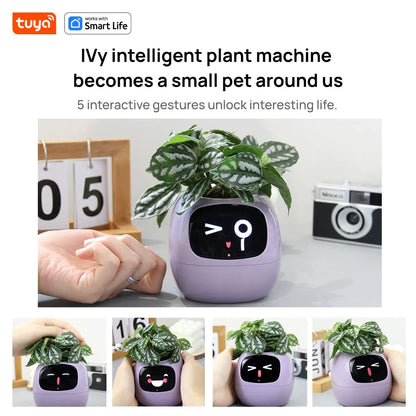 Eco Smart Planter