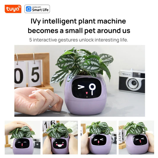 Eco Smart Planter