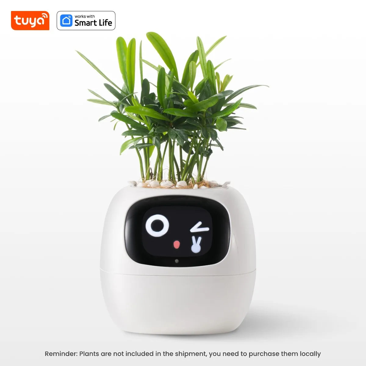 Eco Smart Planter