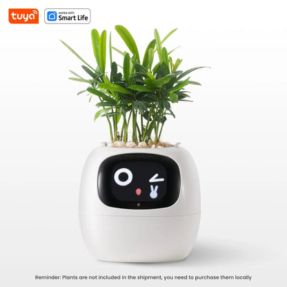 Eco Smart Planter