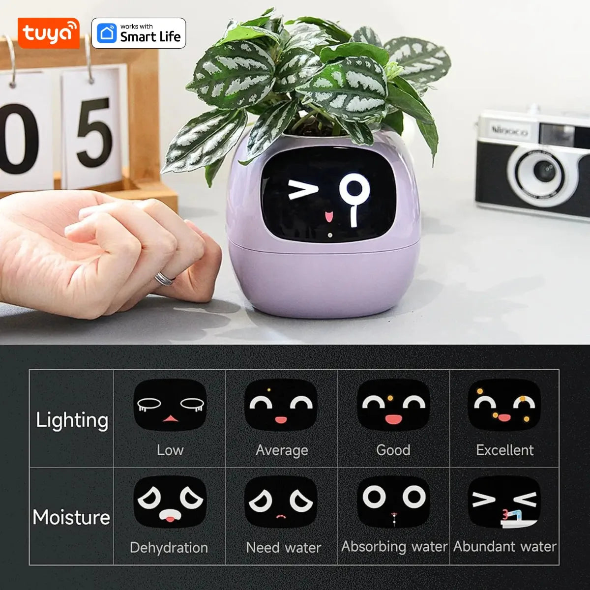Eco Smart Planter