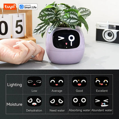 Eco Smart Planter
