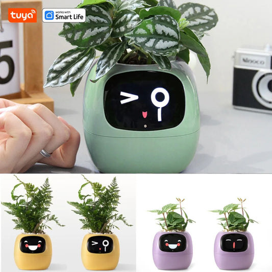 Eco Smart Planter